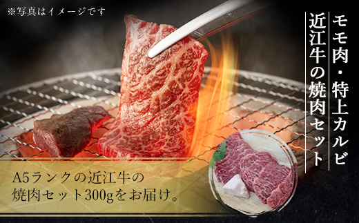 近江牛 焼肉 セット 300ｇ　牛肉 和牛 黒毛和牛 国産　AI28