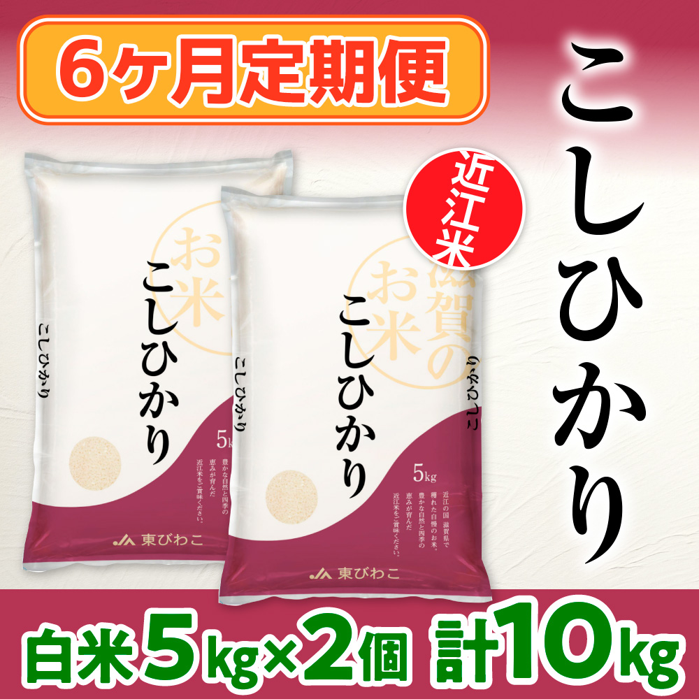 6ヶ月定期便 近江米 こしひかり 白米10kg  BD19