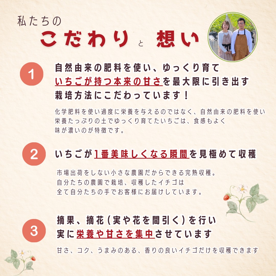 完熟いちご食べ比べセット品種おまかせ　滋賀県愛荘町産　2026年２月～2026年４月頃発送 BJ01
