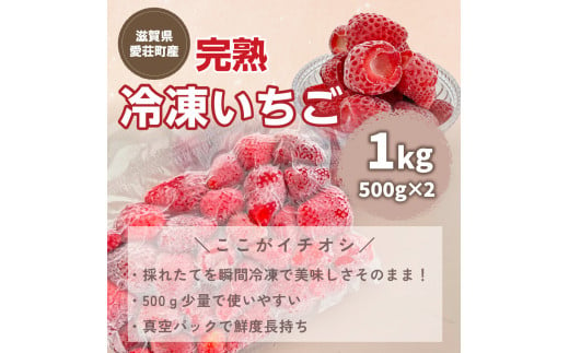 【採れたて瞬間冷凍！】滋賀県愛荘町産　冷凍いちご 1kg（500g×2）品種ミックス　（ 有機 有機肥料 冷凍 いちご 紅ほっぺ よつぼし みおしずく あまえくぼ　BJ05）