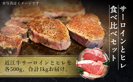 近江牛 サーロイン ブロック ＆ ヒレ ブロック 各500g　合計1kg　牛肉 和牛 黒毛和牛 国産　AI36