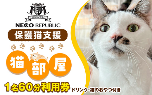 保護猫支援 猫部屋１名６０分利用券 ドリンク・猫のおやつ付き ネコリパブリック BR05