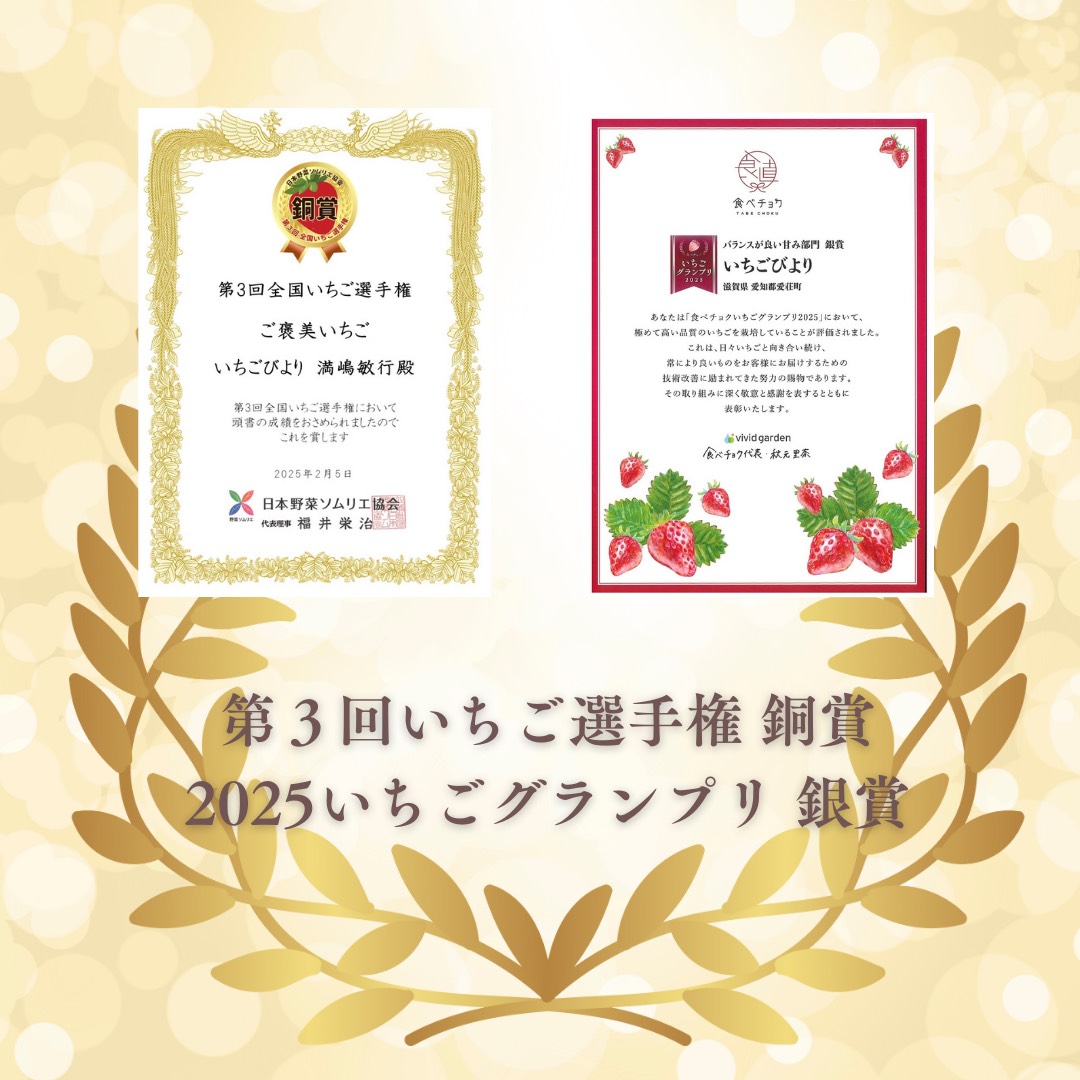 完熟いちご食べ比べセット品種おまかせ　滋賀県愛荘町産　2026年２月～2026年４月頃発送 BJ01