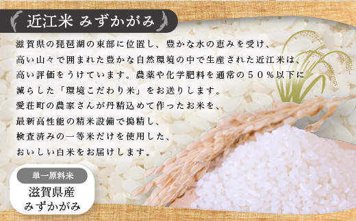 近江米　みずかがみ　白米10kg　令和5年産 BD08