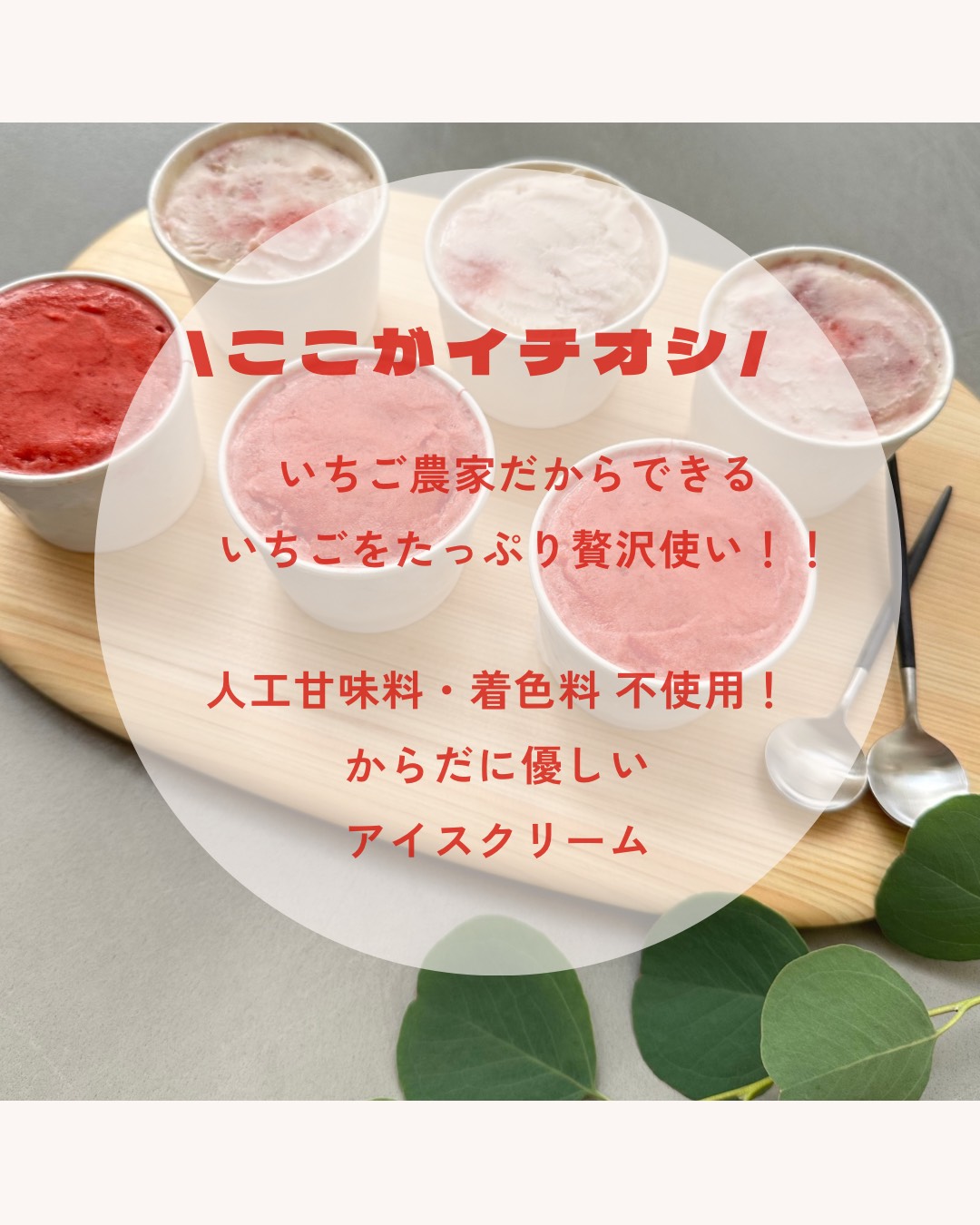 æ»è³çæèçºç£ããã¡ããèŽ
æ²¢ã«äœ¿ã£ãæ¿åãã¡ãã®ãè€çŸiceãåžå°åçš®é»ãã¡ãã®ãççŽ
ã®çŸéŽãœã«ããæ»è³çãªãªãžãã«ãã¡ãã®ãã¿ãããããžã§ã©ãŒããïŒåã»ããïŒåïŒåïŒ BJ08