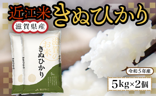 近江米　きぬひかり　白米10kg　令和5年産  BD02	