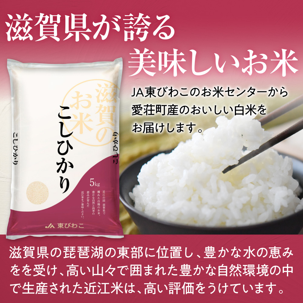 近江米 ３品種 食べ比べセット 1kg 白米 ミルキークイーン みずかがみ コシヒカリ 各5kg	 BD28