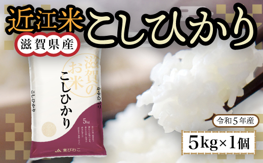 近江米　こしひかり　白米5kg　令和6年産 BD05