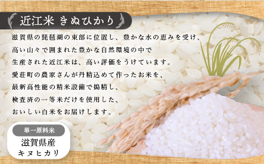 近江米　きぬひかり　白米10kg　令和5年産  BD02	