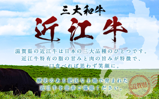 【定期便】近江牛食べ比べコースB 頒布会３カ月　ステーキ すき焼き しゃぶしゃぶ　牛肉 和牛 黒毛和牛 国産　AI17