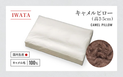 IWATA　キャメルピロ―　（高さ5cm）　枕　ラクダ　AA100