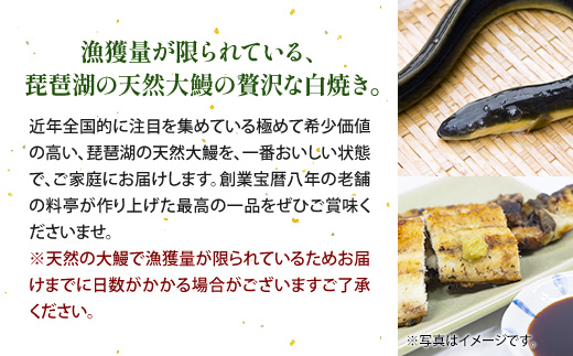 竹平楼 琵琶湖天然大鰻の白焼き １尾　鰻 うなぎ 大鰻 天然 国産 白焼き　AM08