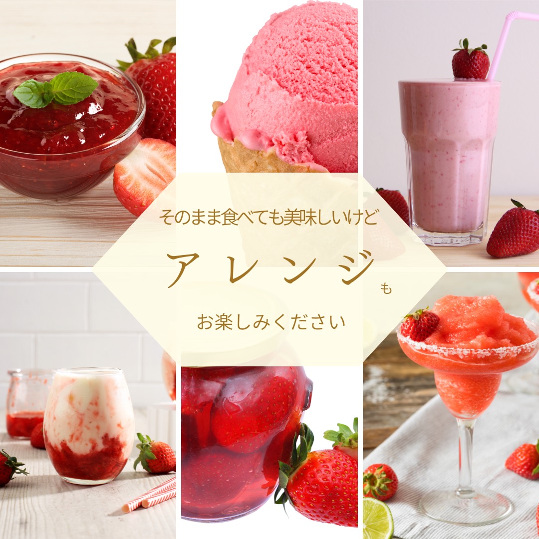 採れたて瞬間冷凍！ 滋賀県愛荘町産　冷凍いちご 3kg（500g×6）品種ミックス  BJ06