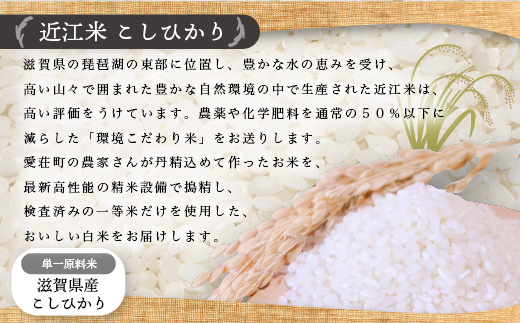 近江米　こしひかり　白米10kg　令和5年産 BD06