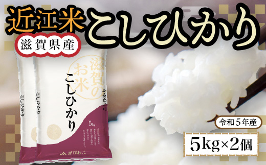 近江米　こしひかり　白米10kg　令和5年産 BD06