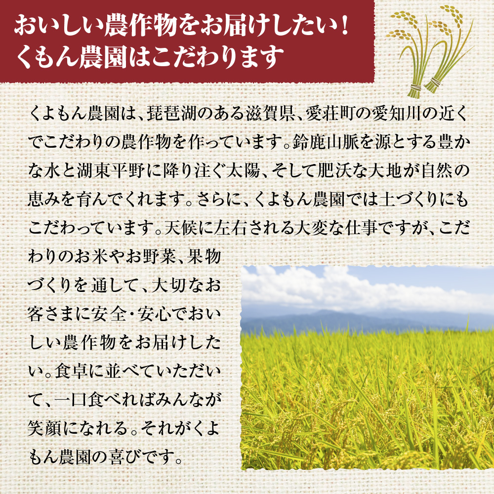 くよもん農園 愛荘町産 コシヒカリ 5kg 令和6年産　白米 精米　AG02