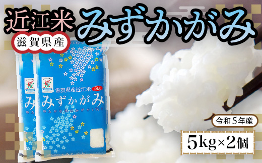 近江米　みずかがみ　白米10kg　令和5年産 BD08