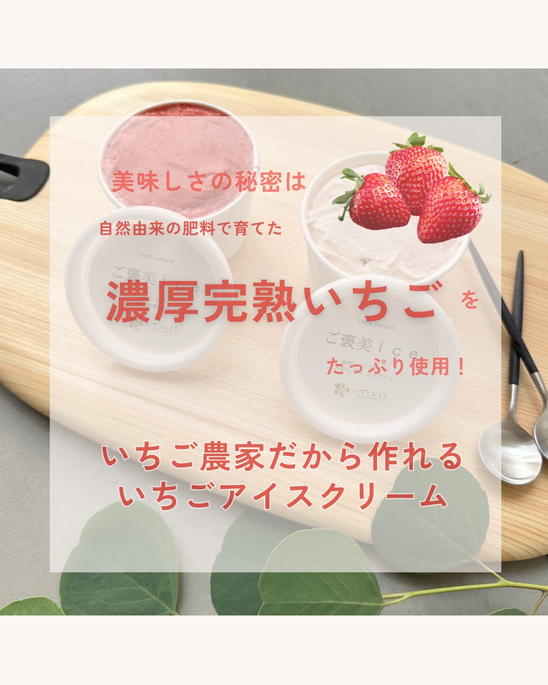 æ»è³çæèçºç£ããã¡ããèŽ
æ²¢ã«äœ¿ã£ãæ¿åãã¡ãã®ãè€çŸiceãåžå°åçš®é»ãã¡ãã®ãççŽ
ã®çŸéŽãœã«ããæ»è³çãªãªãžãã«ãã¡ãã®ãã¿ãããããžã§ã©ãŒããïŒåã»ããïŒåïŒåïŒ BJ08