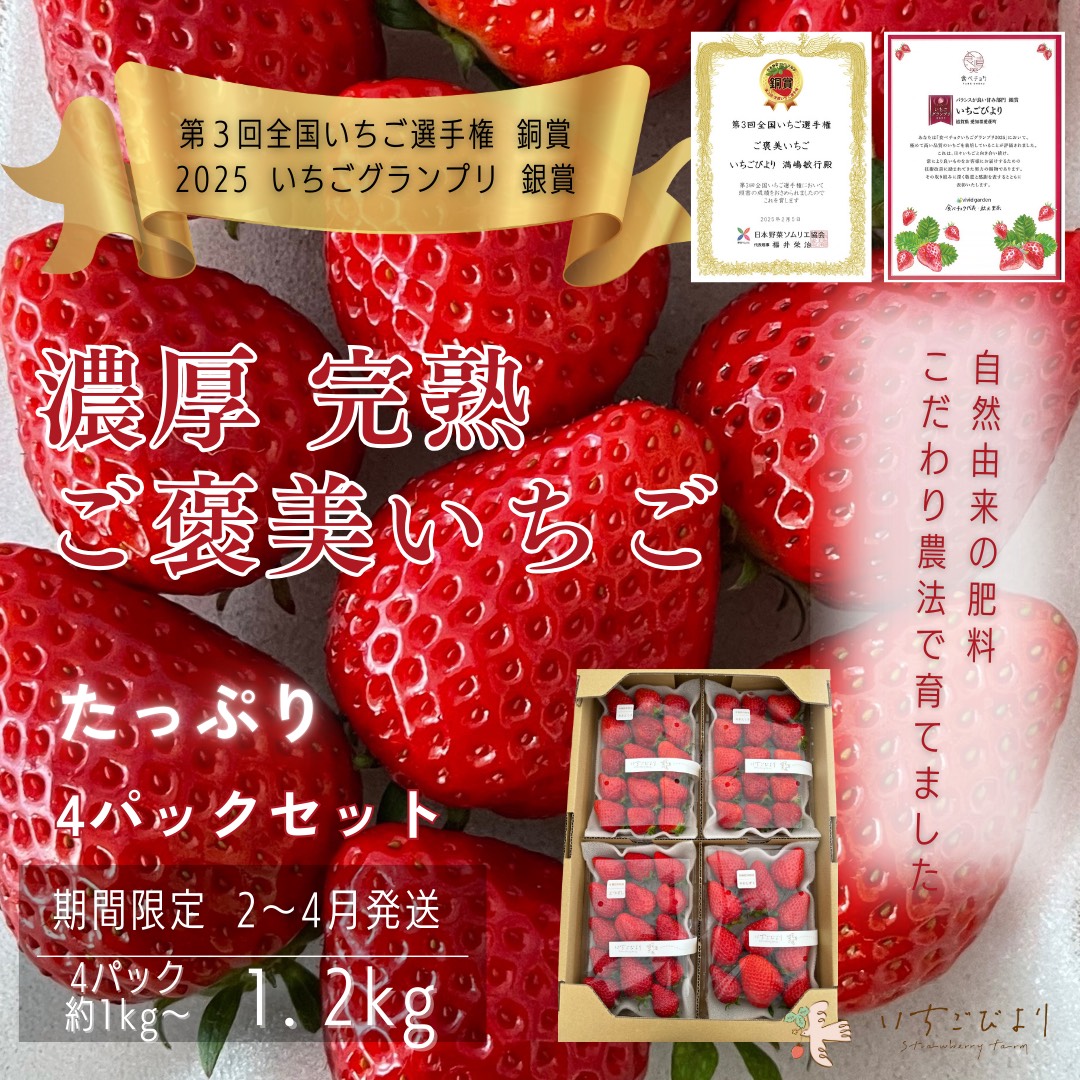 完熟いちご 約250～300g×4パック 品種おまかせ　滋賀県愛荘町産　2026年２月～2026年４月頃発送 BJ07