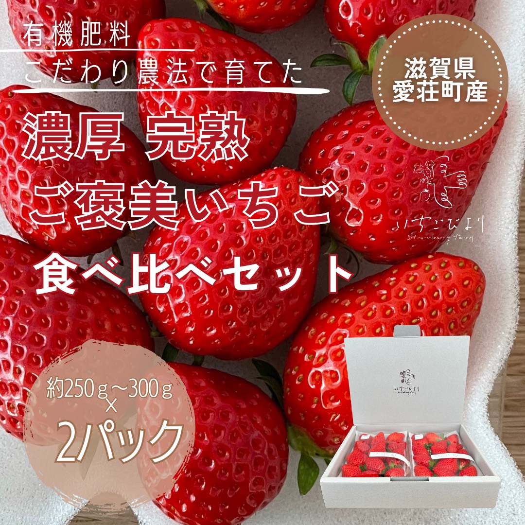 滋賀県愛荘町産　いちご食べ比べセット 品種おまかせ BJ01