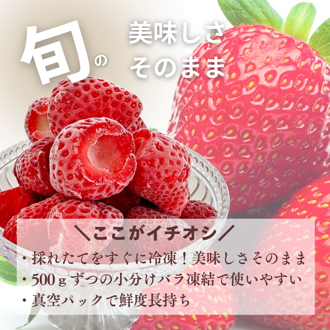 採れたて瞬間冷凍！ 滋賀県愛荘町産　冷凍いちご 3kg（500g×6）品種ミックス  BJ06