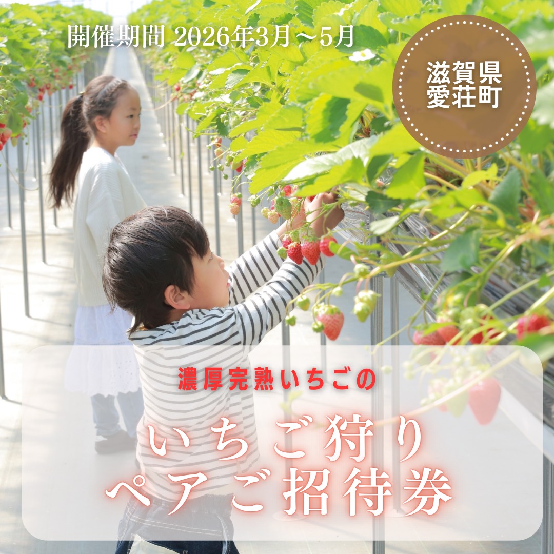 いちご狩り　ペアご招待券　期間2026年３月末頃～2026年５月末日頃（いちご狩りシーズン期間内） BJ04