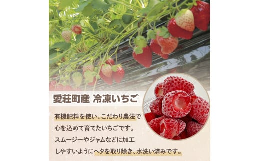 【採れたて瞬間冷凍！】滋賀県愛荘町産　冷凍いちご 1kg（500g×2）品種ミックス　（ 有機 有機肥料 冷凍 いちご 紅ほっぺ よつぼし みおしずく あまえくぼ　BJ05）