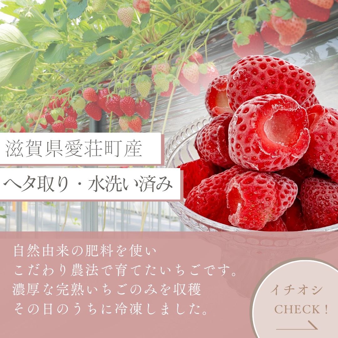 採れたて瞬間冷凍！ 滋賀県愛荘町産　冷凍いちご 3kg（500g×6）品種ミックス  BJ06