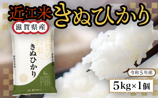 近江米　きぬひかり　白米5kg　令和5年産 BD01	