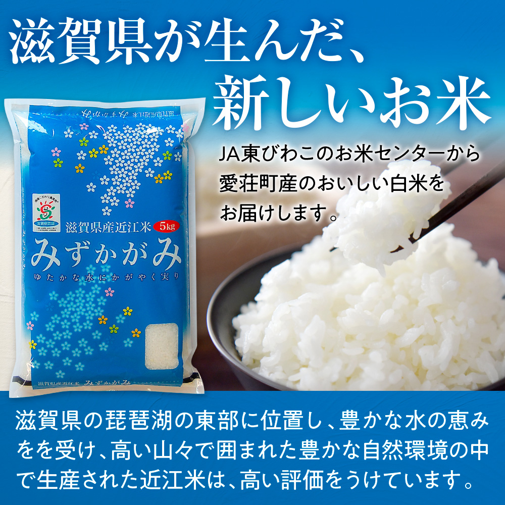 近江米 ３品種 食べ比べセット 1kg 白米 ミルキークイーン みずかがみ コシヒカリ 各5kg	 BD28