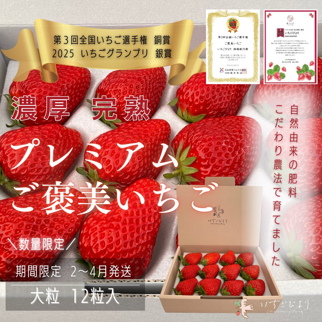 完熟いちご大粒ギフトボックス 品種おまかせ　滋賀県愛荘町産 2026年２月～2026年４月頃発送 BJ02