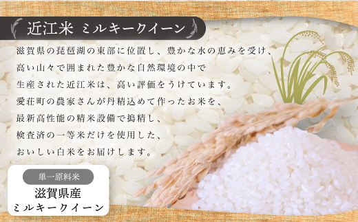 近江米　ミルキークイーン　白米5kg　令和5年産 BD03