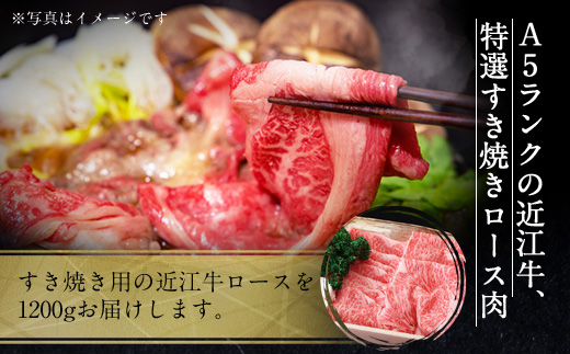 近江牛 特選 すき焼き 肉 A5 ロース 1200g　牛肉 和牛 黒毛和牛 国産　AI23