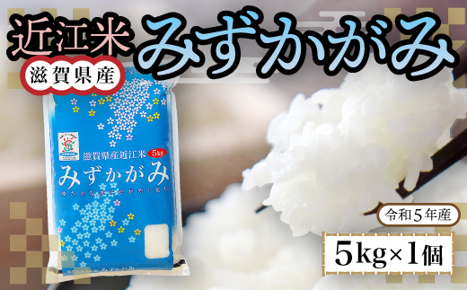 近江米　みずかがみ　白米5kg　令和5年産 BD07	