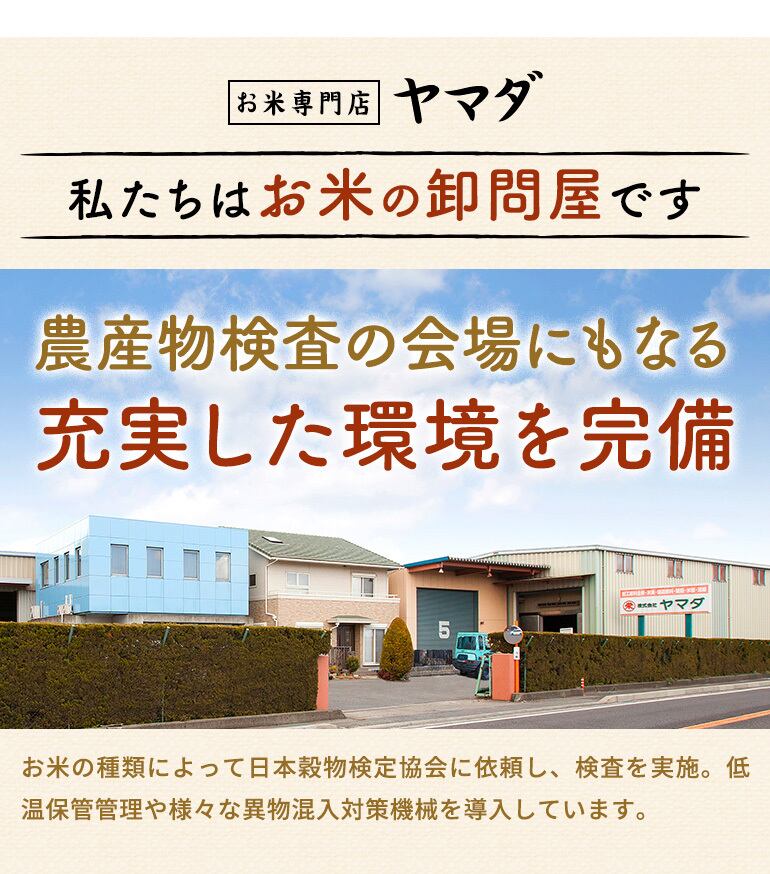 【令和7年産含む】近江ブレンド米 30kg愛荘町産 白米 精米 米 お米 単一原料米 ブランド米 銘柄米 国産 ご飯 白飯 ゴハン 食品 支援 支援品 生活支援 生活応援 送料無料 AY004