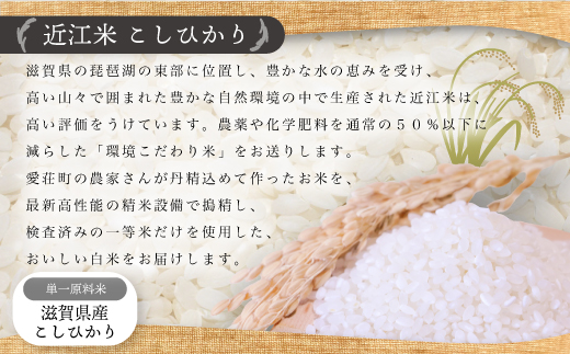 近江米　こしひかり　白米5kg　令和5年産 BD05