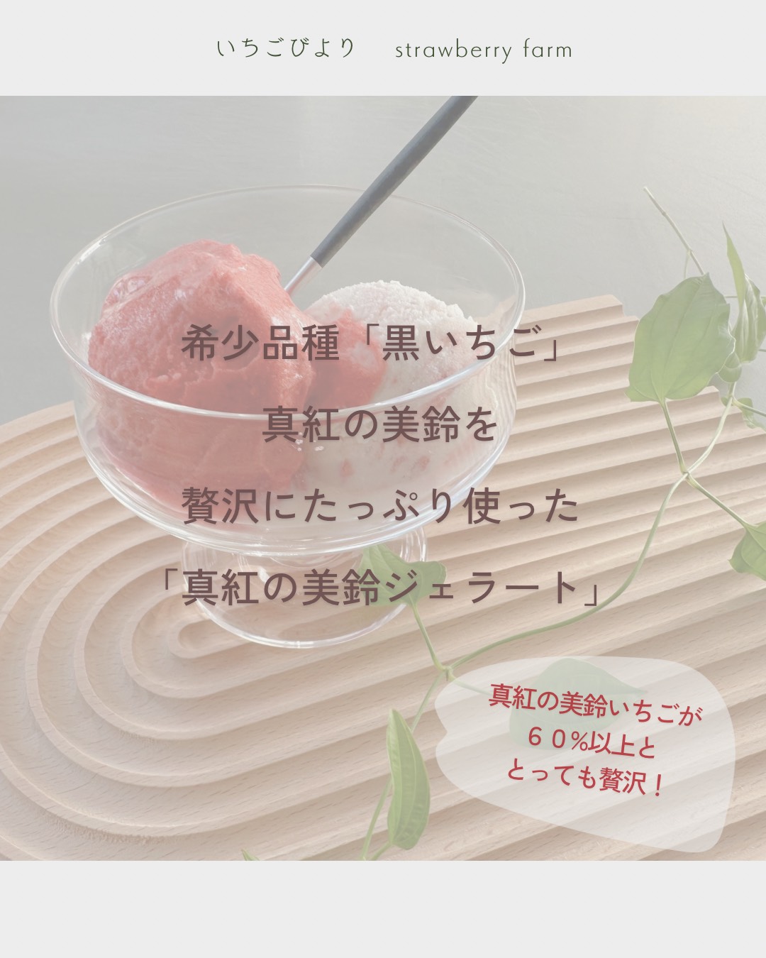 æ»è³çæèçºç£ããã¡ããèŽ
æ²¢ã«äœ¿ã£ãæ¿åãã¡ãã®ãè€çŸiceãåžå°åçš®é»ãã¡ãã®ãççŽ
ã®çŸéŽãœã«ããæ»è³çãªãªãžãã«ãã¡ãã®ãã¿ãããããžã§ã©ãŒããïŒåã»ããïŒåïŒåïŒ BJ08