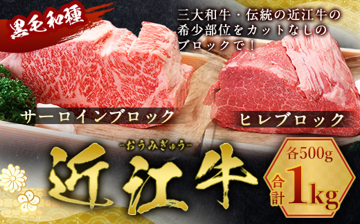 近江牛 サーロイン ブロック ＆ ヒレ ブロック 各500g　合計1kg　牛肉 和牛 黒毛和牛 国産　AI36