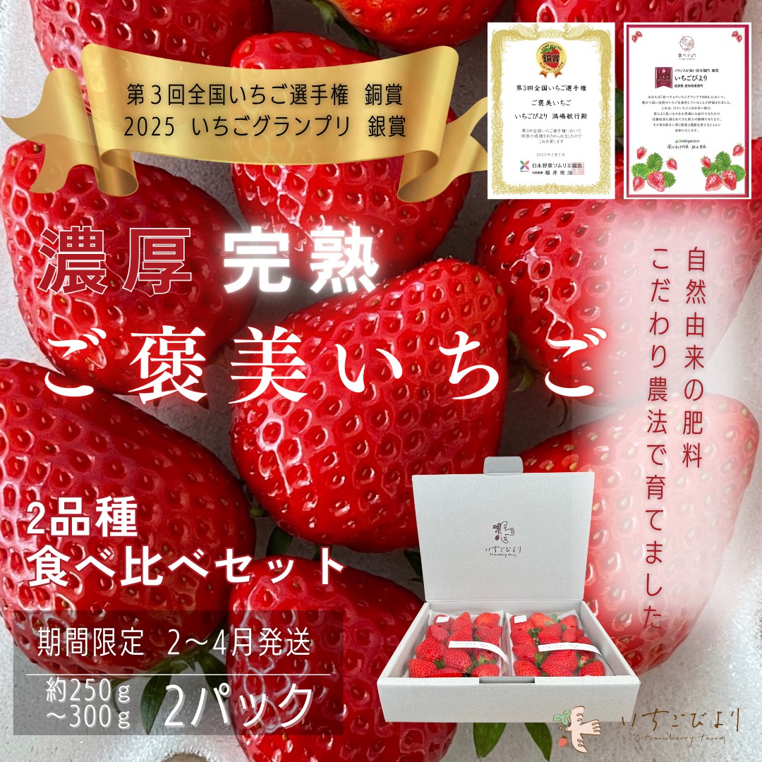 完熟いちご食べ比べセット品種おまかせ　滋賀県愛荘町産　2026年２月～2026年４月頃発送 BJ01