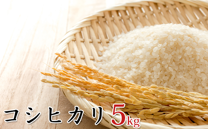 【新米】令和6年産環境こだわり近江米コシヒカリ5kg（無洗米）