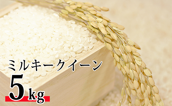 【新米】令和6年環境こだわり近江米ミルキークイーン5kg（無洗米）