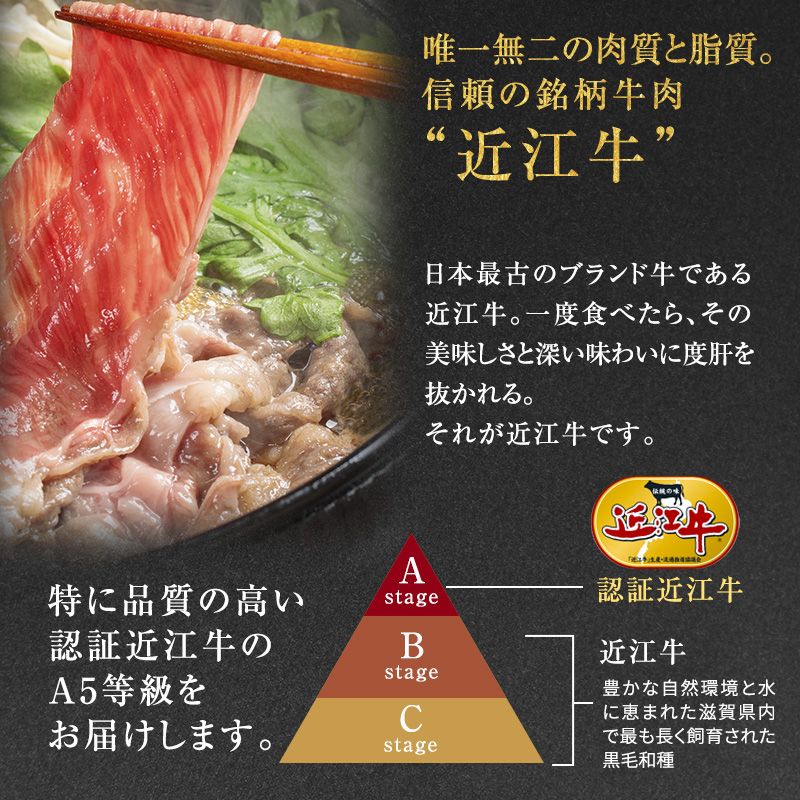 【近江牛 西川畜産】A5ランク雌牛 しゃぶしゃぶ用 約600g （リブロース・肩ロース・上部位モモ等）