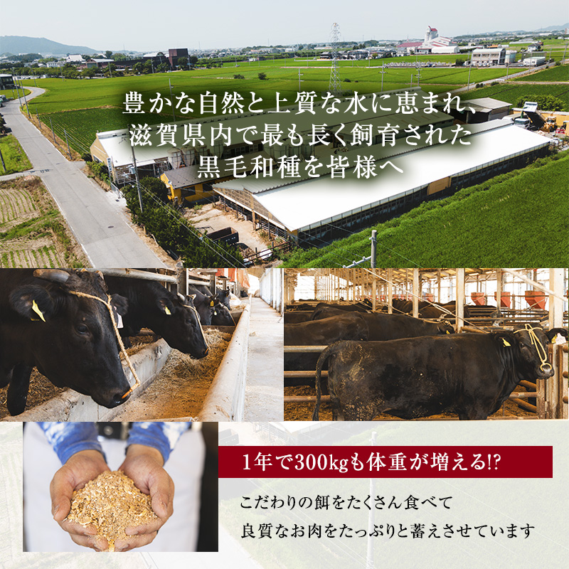 【近江牛 西川畜産】A5ランク雌牛 焼肉用 約850g （モモ・カタ・ウデ・バラ系等）