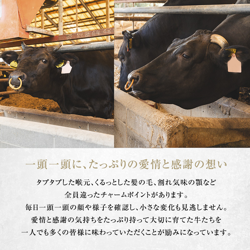 【近江牛 西川畜産】A5ランク雌牛 サーロインステーキ180g×2
