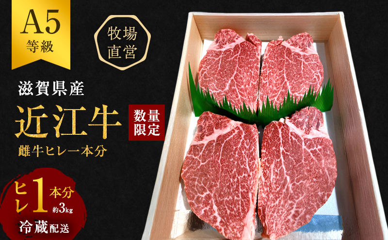 【数量限定】【近江牛 西川畜産】A5ランク雌牛　ヒレ1本分　約3kg ふるさと納税 ステーキ a5 お肉 牛肉 ブランド牛