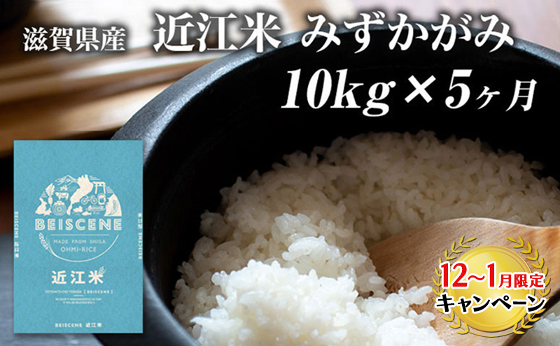 【12月～1月までの限定寄附額】 特A受賞歴 定期便 みずかがみ 10kg×5ヶ月 令和7年産 滋賀県豊郷町産 近江米 お米 白米 ごはん ライス 主食 炭水化物 おにぎり CP1201