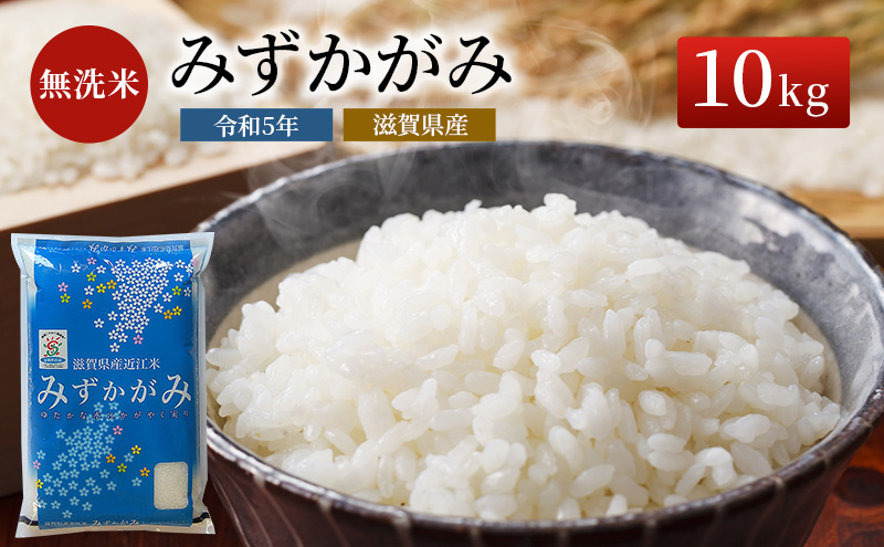 米 みずかがみ BG無洗米 10kg 令和5年 ふるさと応援特別米  無洗米 お米 こめ コメ おこめ 白米