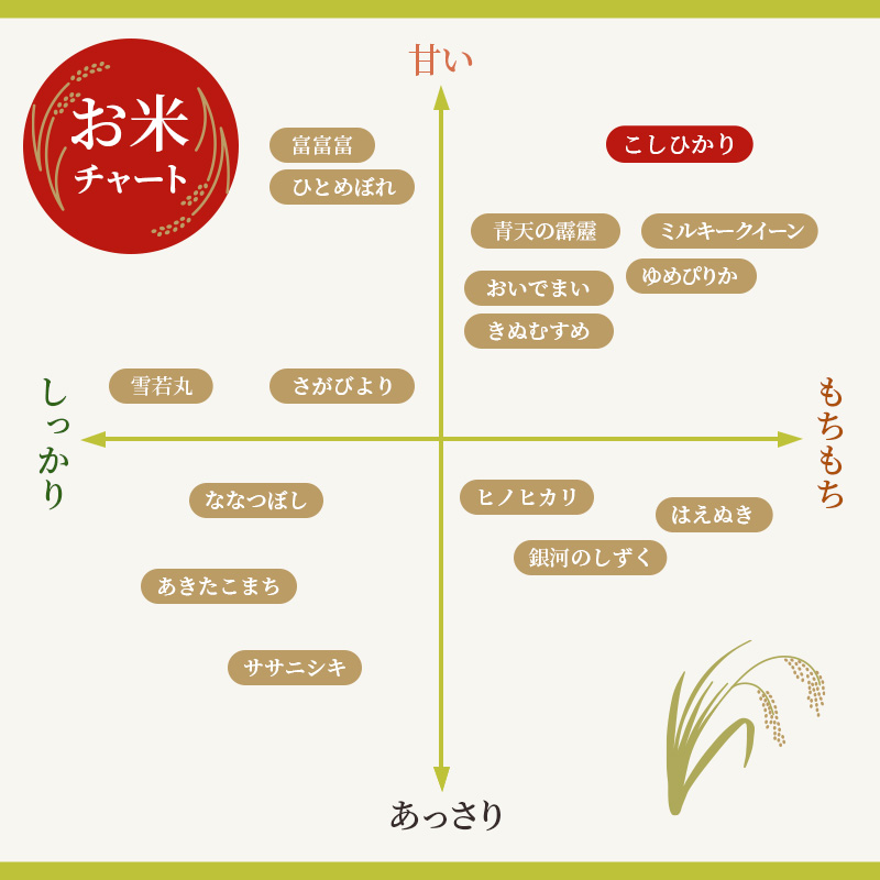 米 こしひかり BG無洗米 5kg 令和6年産新米 ふるさと応援特別米 無洗米 お米 こめ コメ おこめ 白米 コシヒカリ