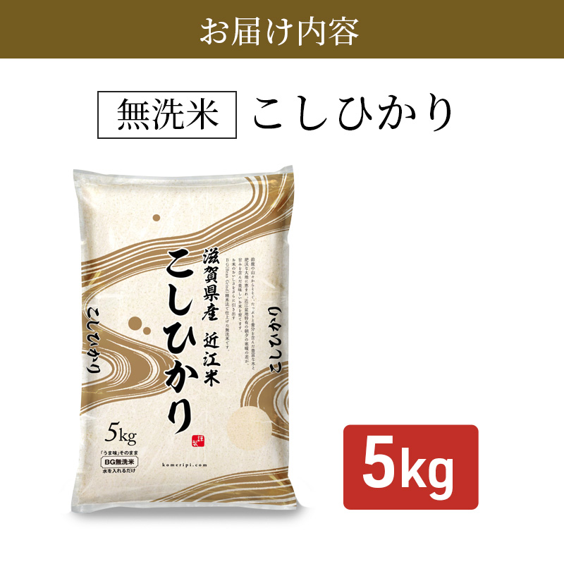 米 こしひかり BG無洗米 5kg 令和6年産新米 ふるさと応援特別米 無洗米 お米 こめ コメ おこめ 白米 コシヒカリ