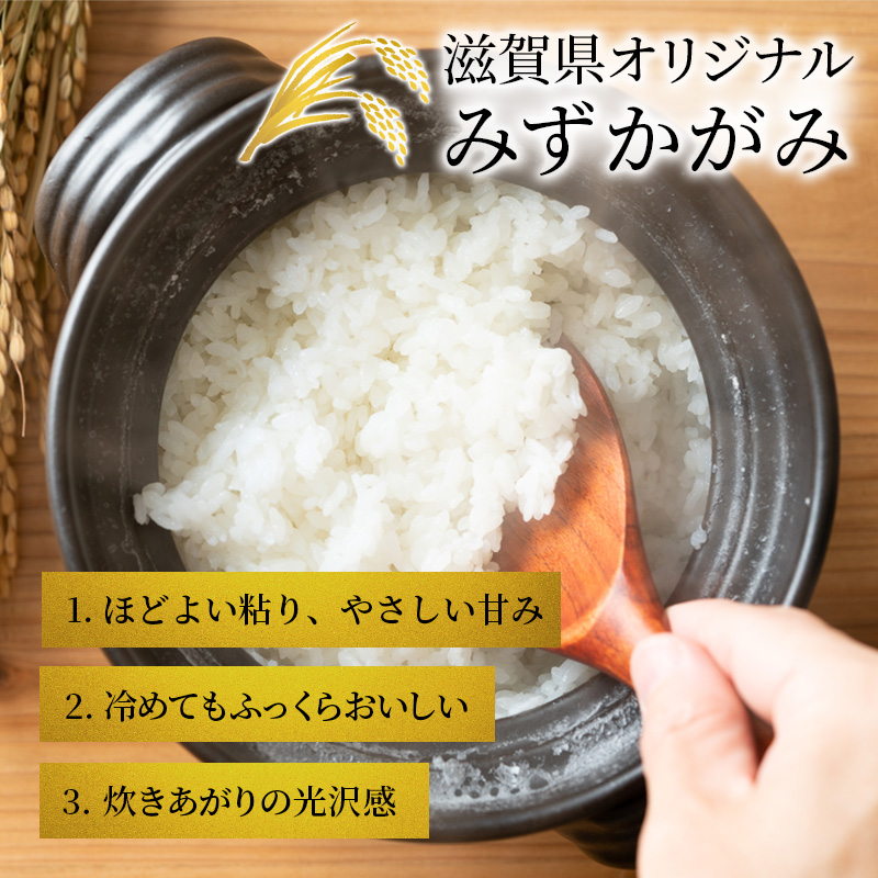 令和6年産新米ふるさと応援特別米みずかがみ（BG無洗米）5kg